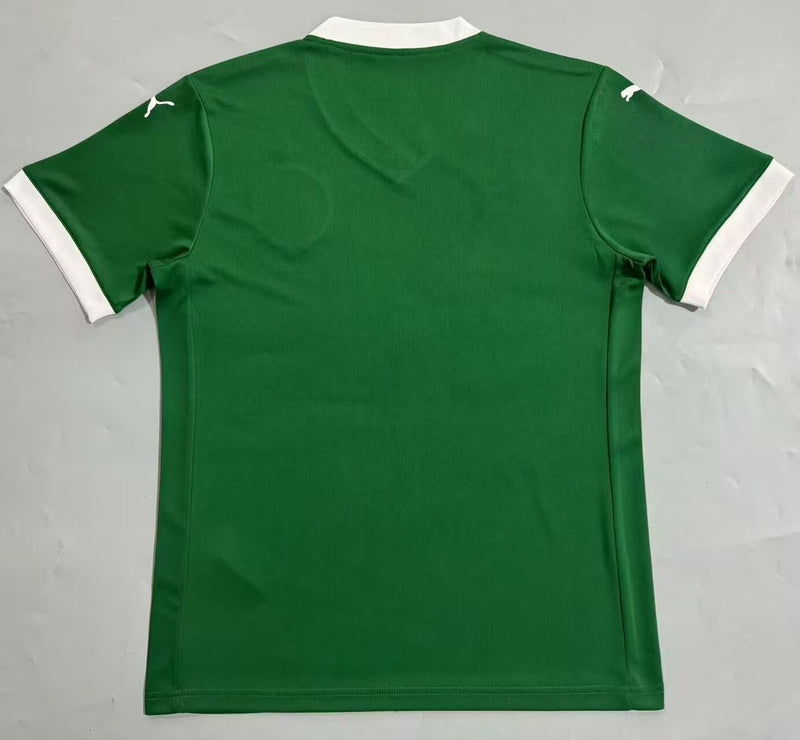 Camisa Torcedor Palmeiras I 2025/26 - Masculina