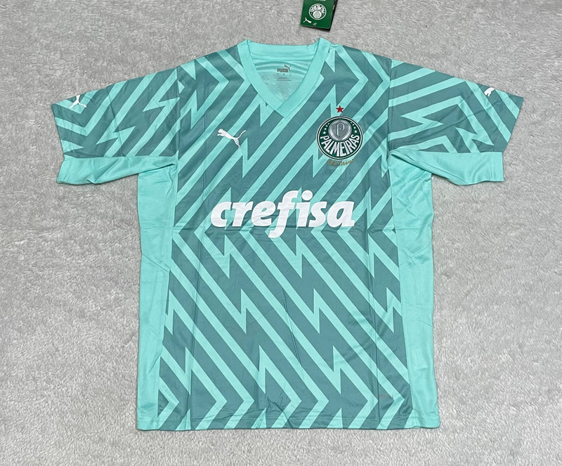 Paixão Box Palmeiras - Camisa + Caixa personalizada + Chaveiro + FIFA Icon - Pronta entrega