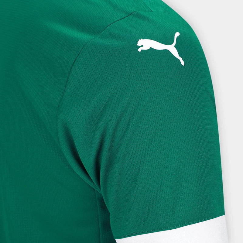 Camisa Torcedor Palmeiras I 2025/26 - Masculina