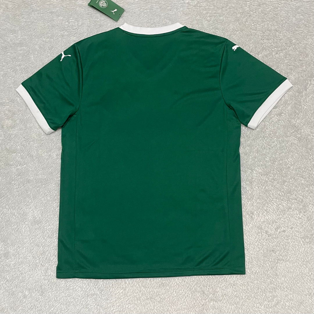 Camisa Palmeiras I 2025/26 - Masculina