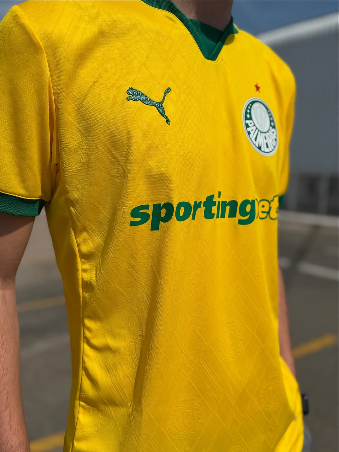 Camisa Jogador Palmeiras III 2025/26 (Pré-venda)