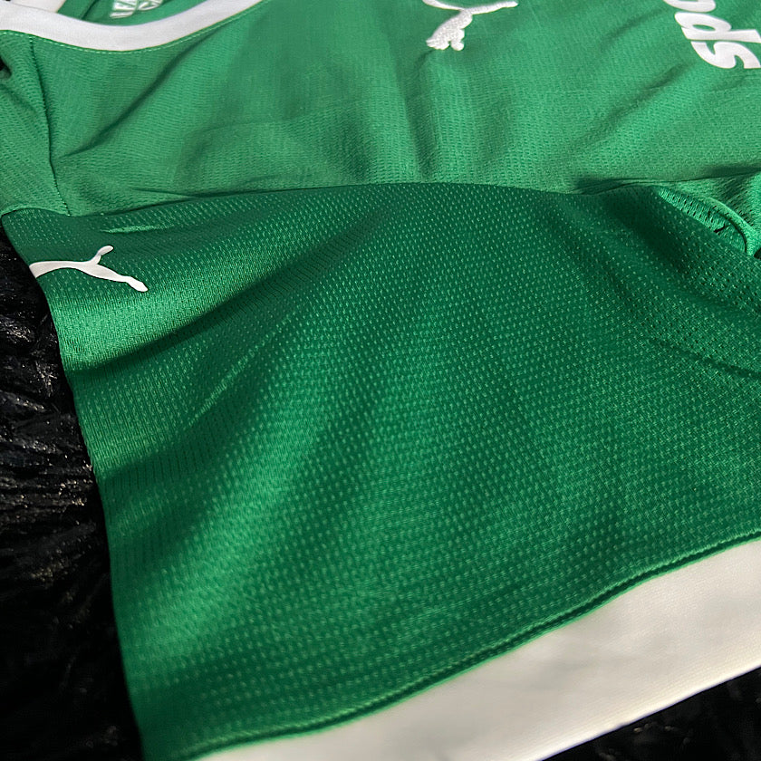 Camisa Palmeiras I 2025/26 - Masculina