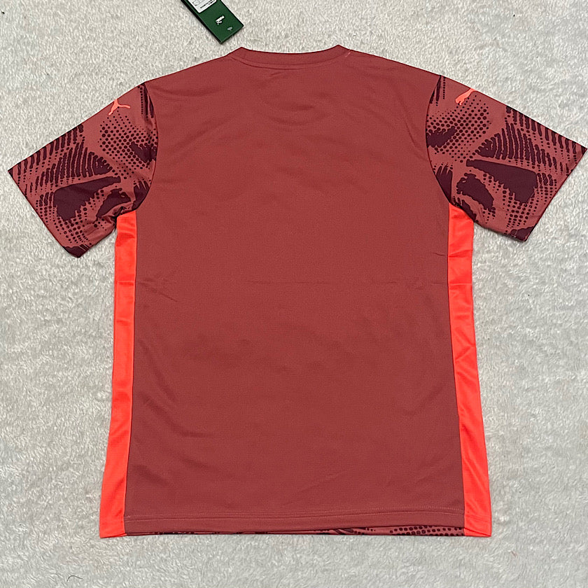 Camisa Palmeiras Goleiro 2025/26 - Masculina