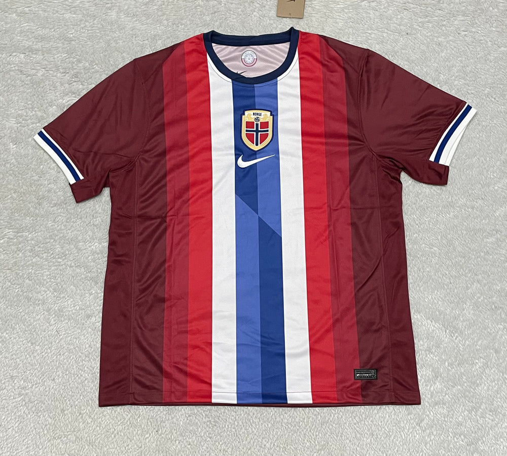 Camiseta de segunda equipación de Noruega 2024/25 - Hombre