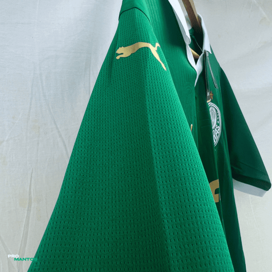 Camisa Palmeiras I 2024/25 - Masculina