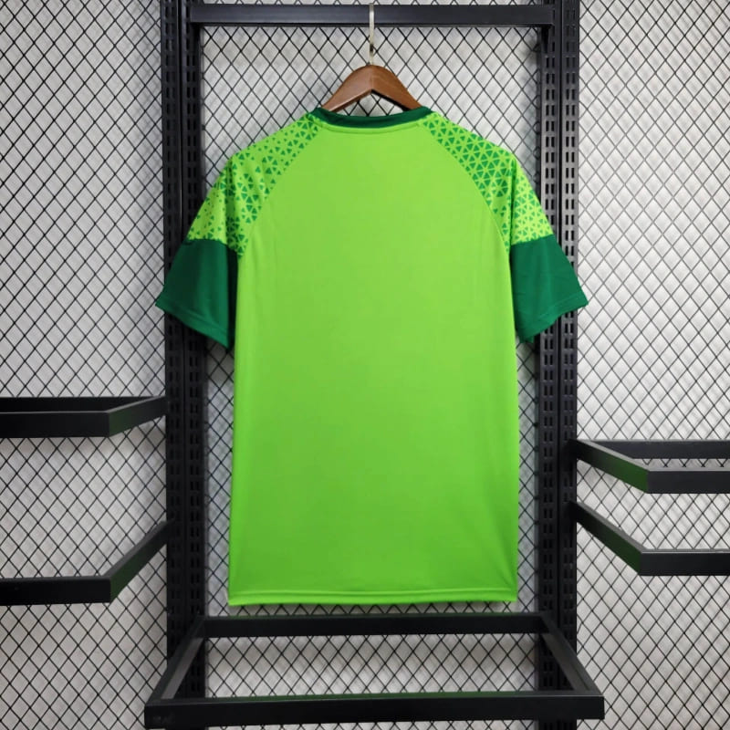 Camiseta de entrenamiento y viaje Palmeiras 2024/25 - Hombre