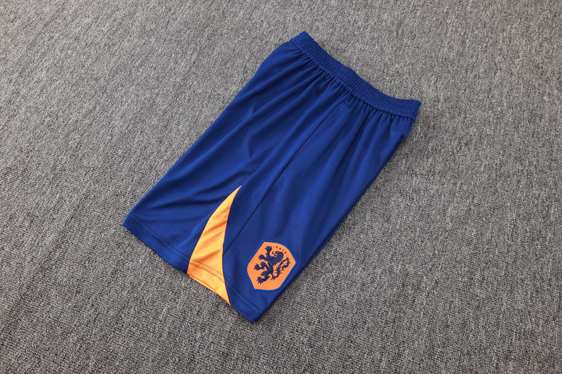 Conjunto Camisa e Calção Holanda Treino 2024/25 - Azul